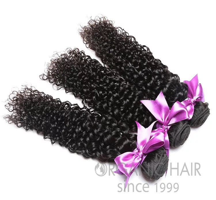 Curly virgin malaysian human hair extensions 